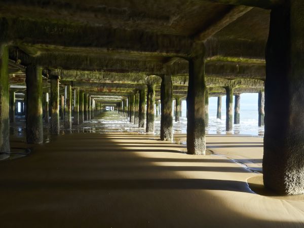 Cost of Concrete Pier Repair in Tampa